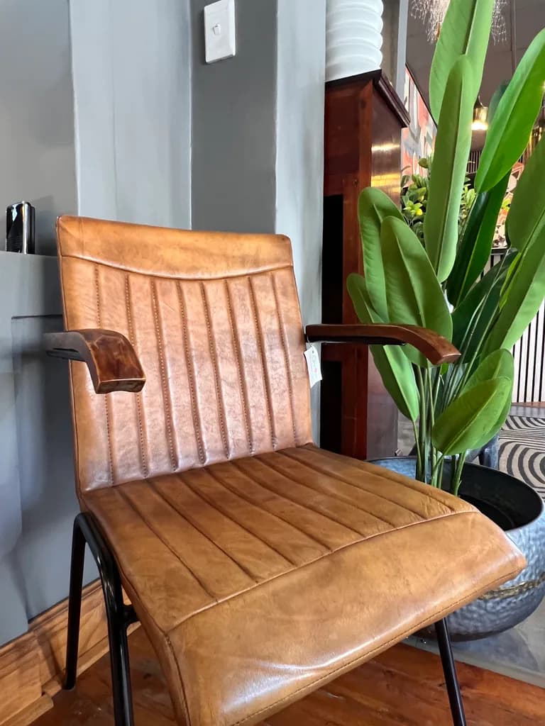 Leather chair beside a green plant inside the showroom.